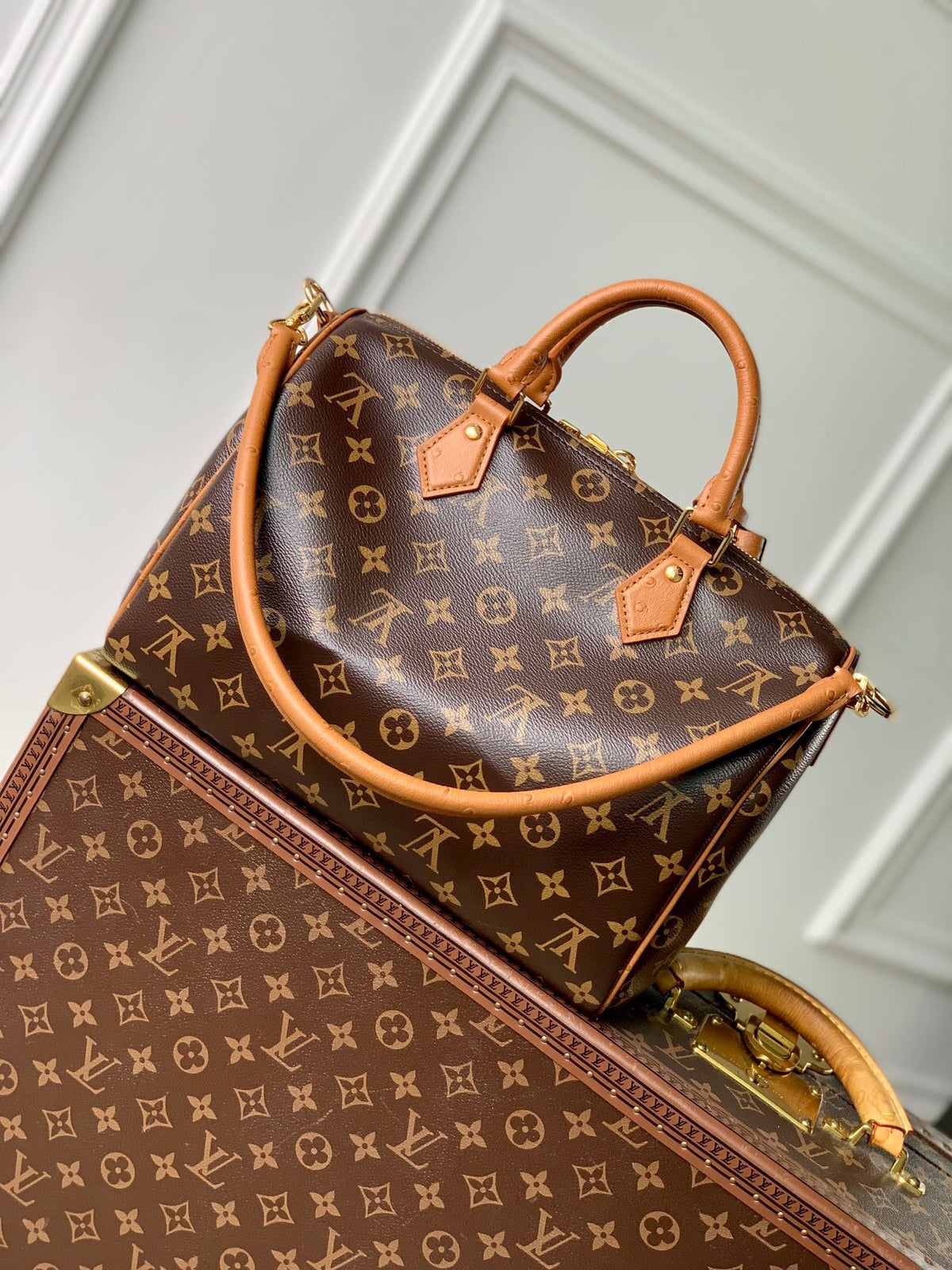 Louis Vuitton Speedy Soft 30 Boho