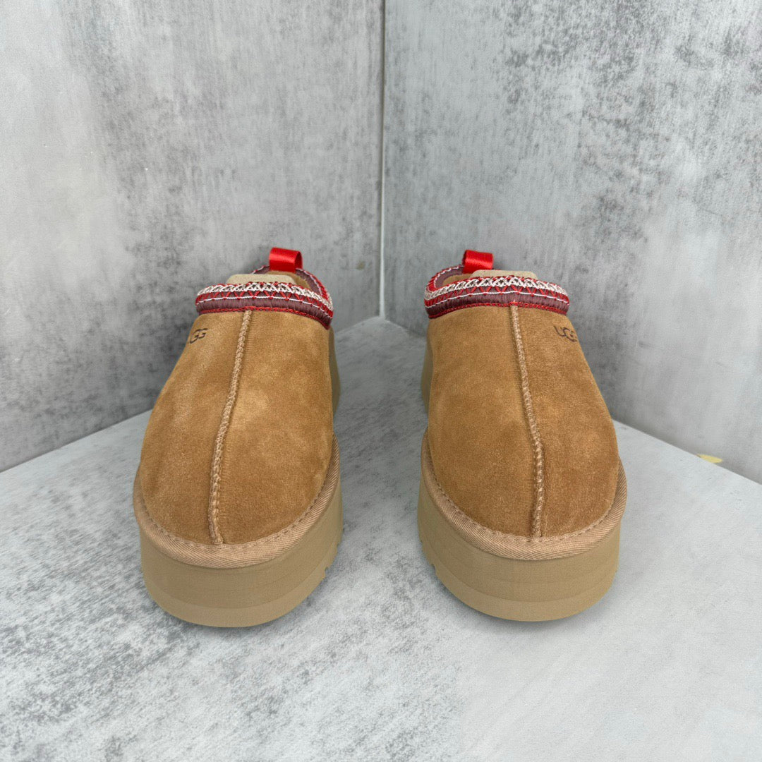 UGG TAZZ ll